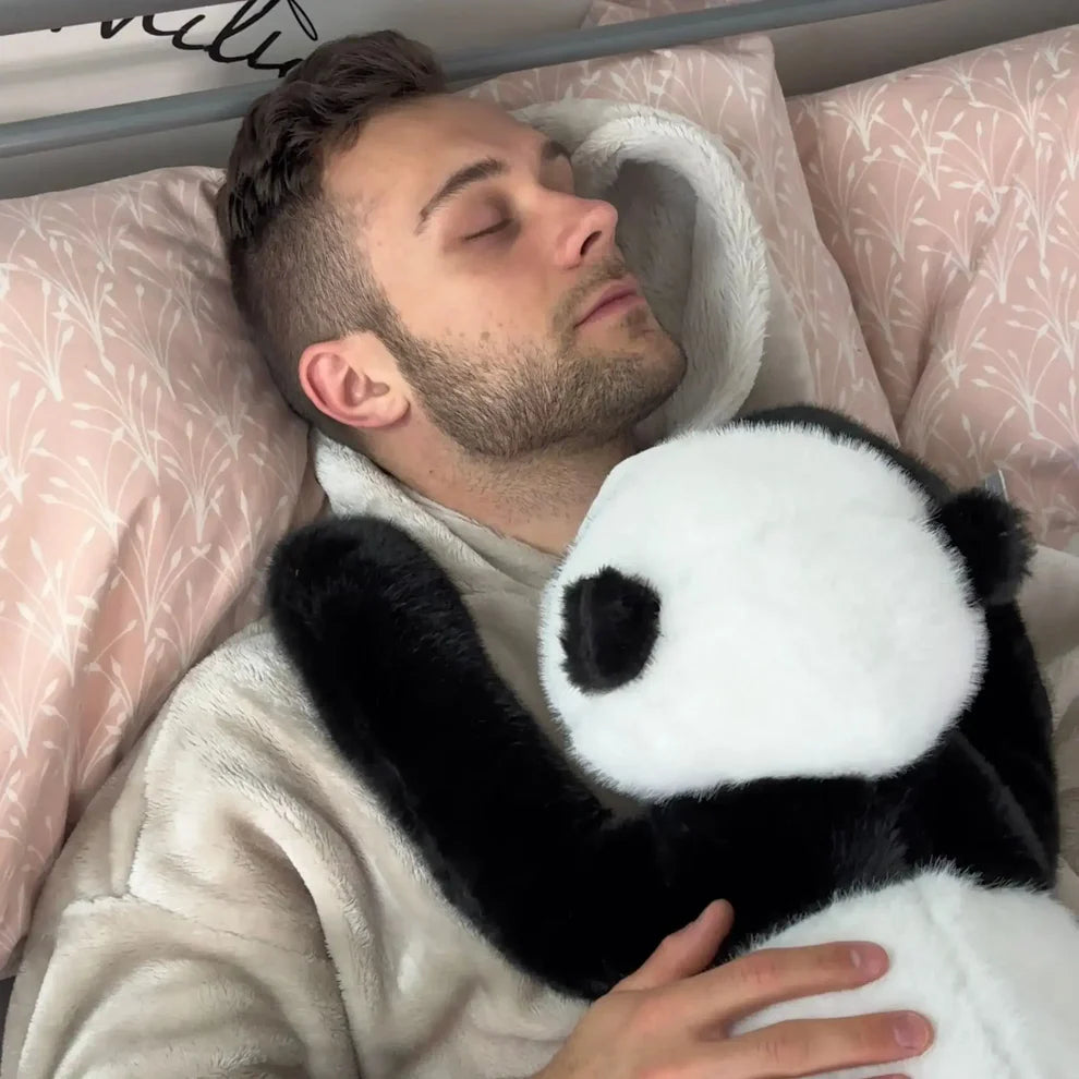 Poffy the Panda - Soel of Moments